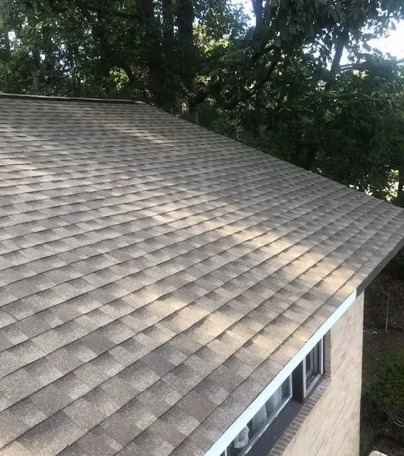 A detached shed with a green standing seam metal roof. 