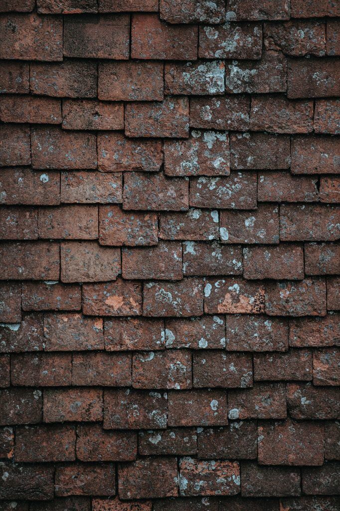 how long do shingles last